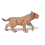 Prehistorische figuur: jonge Smilodon 5