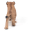 Prehistorische figuur: jonge Smilodon 6