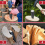 SPARES2GO Log Splitting Wedge Chisel Wood Fire Timber Splitter Maul Spike (1.5KG, 8") 4