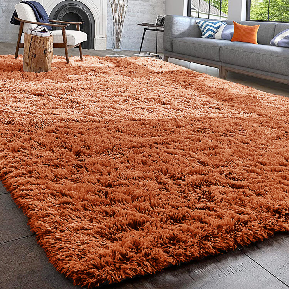 (Rust, 160 X 230 cm) Fluffy Rugs Anti-Slip Large Shaggy Rug Super Soft Mat Living Room Bedroom Carpet