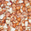 Gardeners Dream Split Peanuts - Premium Nut Protein For Wild Birds In Your Garden (20kg) 2