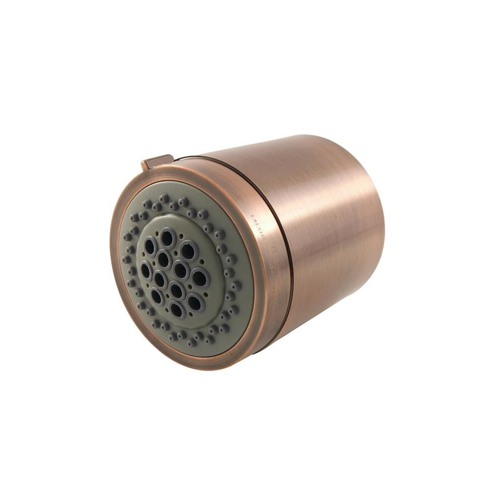 Vilbosch 2-Function Shower Head, Antique Copper 780475808461