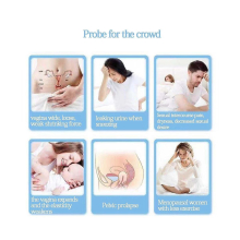 Vaginal Probe Electrodes For Pelvic Floor Exerciser Incontinence Use With Tens/ems Machines Therapy
