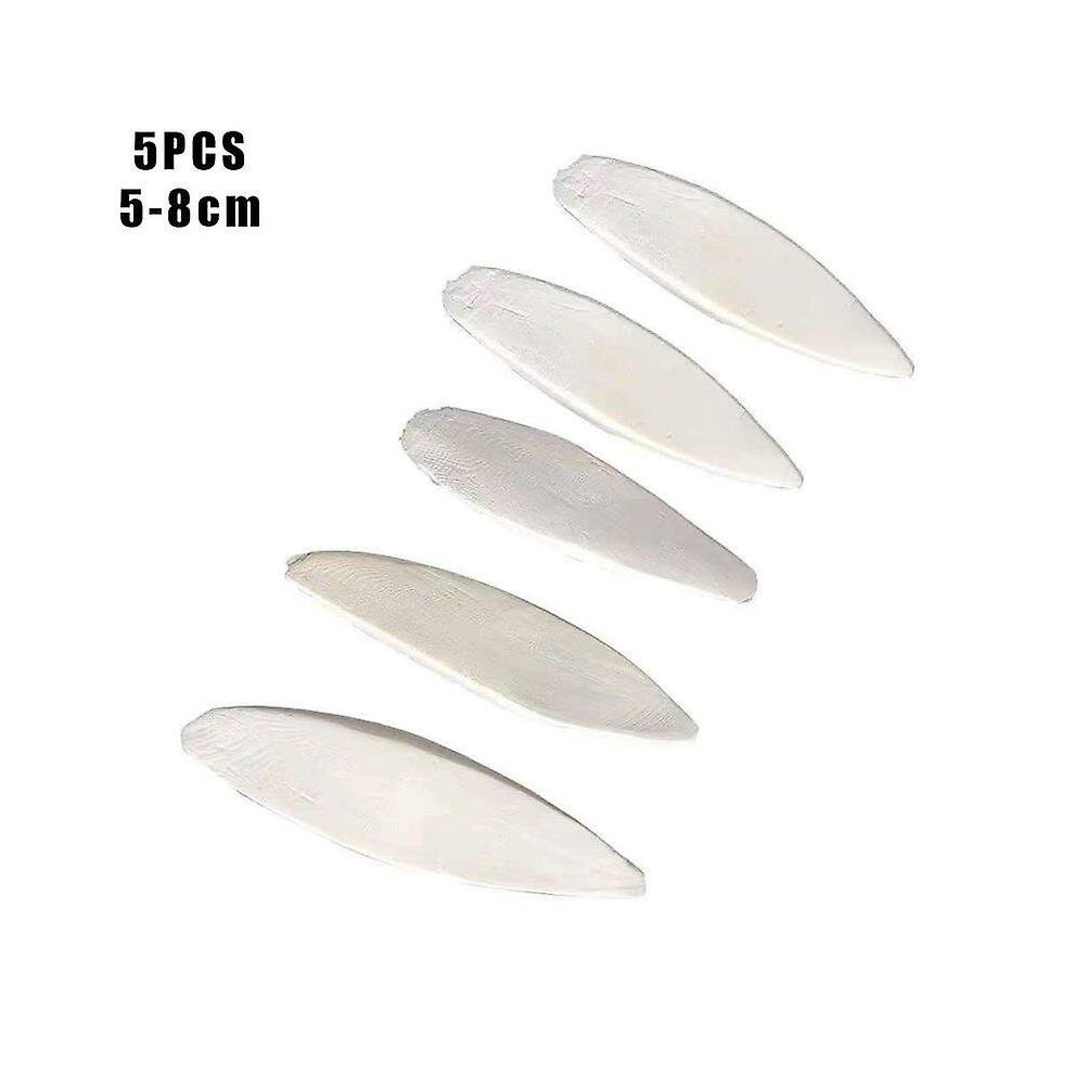 5Pcs/Set Cuttlefish Bone Cuttle Fish Bird Food Calcium Reptiles For Birds X0j2 White