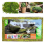 1Pack 150g Compressed Natural Sphagnum Moss Dry Peat Moss Potting Moss Crafts 1