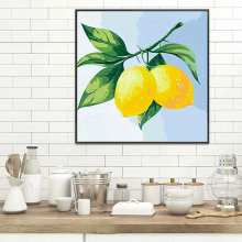 1 Framed DIY Paint By Numbers For Adults Beginner 20x20cm