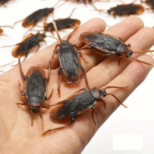 Realistic Model Funny Whole Human Animal Cockroach Bug Prank Joke Joke Scary Toy