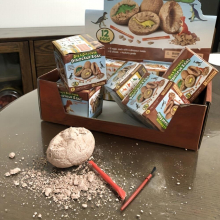 Archaeological Dig Dinosaur Eggs Treasure Digging Toys Creative Skeleton Toys Halloween