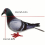 3pcs Simulation Pigeon Props For One Style Photography 4