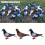 3pcs Simulation Pigeon Props For One Style Photography 1