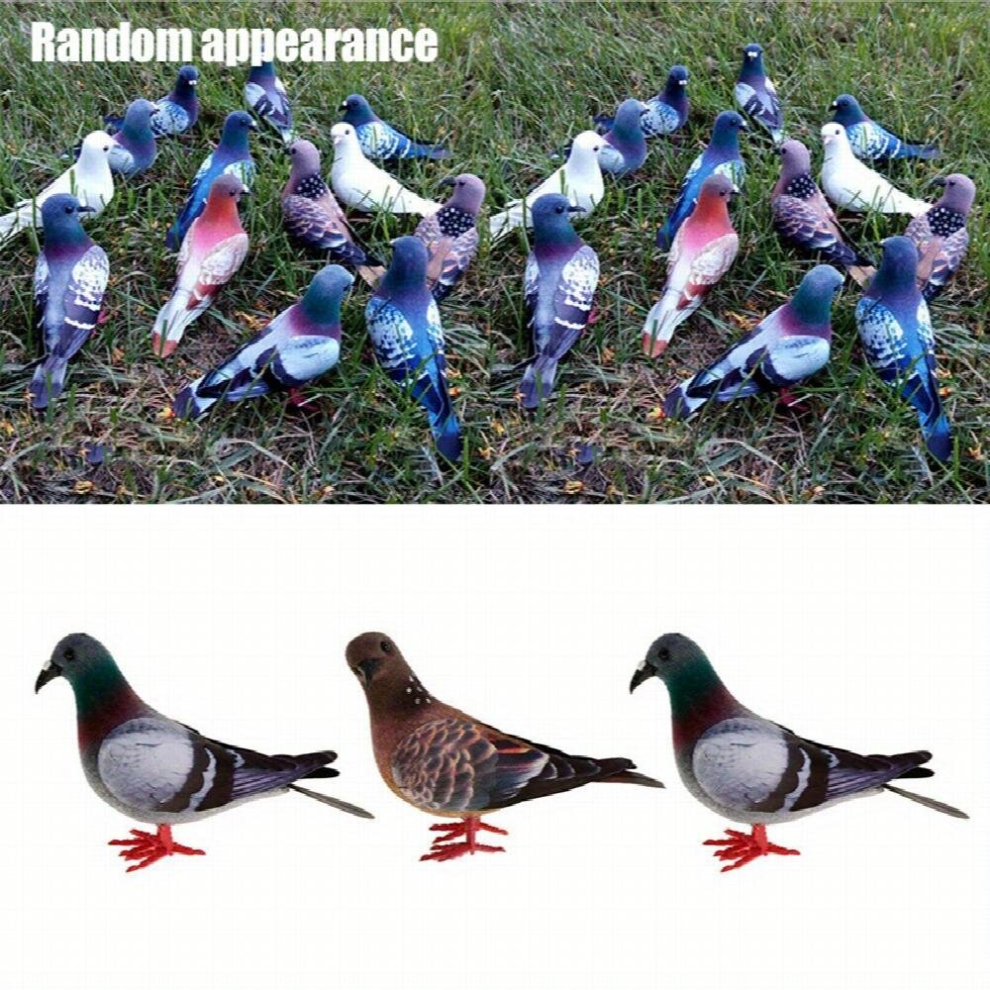 3Pcs Simulation Pigeon Props For One Style Photography 885680025099