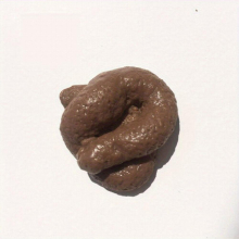Funny Prank Toy Novelty Joke Realistic TPR Poop Sticky Simulation Material Floating Poop Props