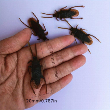 Tricky Toy Scary Insect Insect TPR Maggot Fly PVC Cockroach And Other Toys