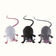 Simulated Mouse Model Halloween Prank Scaring Mouse Shooting Props Teaching Aids And Halloween Toys