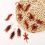12pcs Simulation Cockroach Tricky Simulation Bug Realistic Cockroach Centipede Tricky Small Toy 1