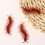 12pcs Simulation Cockroach Tricky Simulation Bug Realistic Cockroach Centipede Tricky Small Toy 6