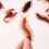 12pcs Simulation Cockroach Tricky Simulation Bug Realistic Cockroach Centipede Tricky Small Toy 2