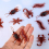 12pcs Simulation Cockroach Tricky Simulation Bug Realistic Cockroach Centipede Tricky Small Toy 3