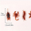 12pcs Simulation Cockroach Tricky Simulation Bug Realistic Cockroach Centipede Tricky Small Toy 4