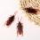 12pcs Simulation Cockroach Tricky Simulation Bug Realistic Cockroach Centipede Tricky Small Toy 8