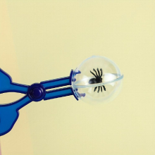 Outdoor Adventure Insect Catcher Tweezers Butterfly Clip Round Head Scissor Clip Insect Catcher Colorful Insect Catcher
