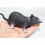 Fancy Gray And Mouse Model Toy Prank Toy Hot 2