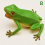 Halloween Prank Simulation Pinching Called Vocal Frog Model Toy 8