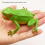 Halloween Prank Simulation Pinching Called Vocal Frog Model Toy 4