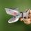Will Bite The Human Shark Tricky Funny Toy Spring Telescopic Hand Clip Creative Decompression Toy Decompression Toy 2