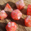 7pcs Set Rose Pearlescent Dice Table Games RPG Dice Set For Party 2
