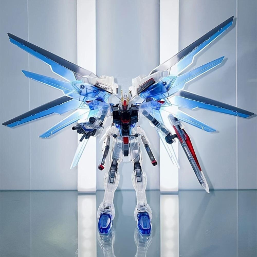 Full Body Movable Assembly Manual Toy Model 1