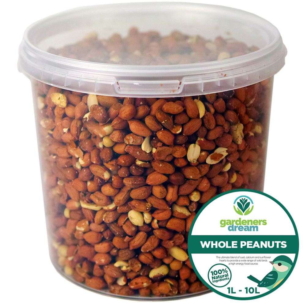 GardenersDream Whole Peanuts - Fresh Garden Seed Wild Bird Food Nut Feed In Tubs