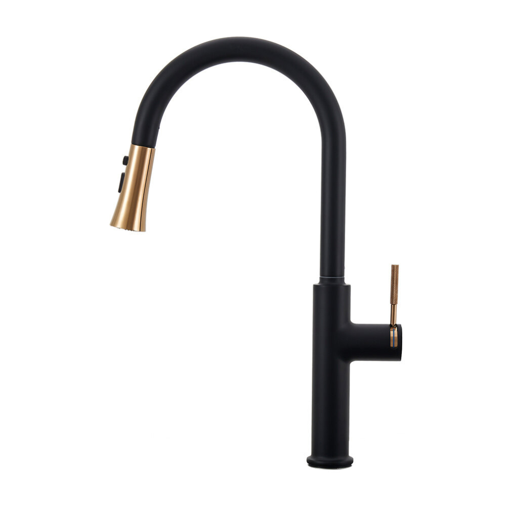 Black Kitchen Sink Faucet with Pull Down Sprayer
