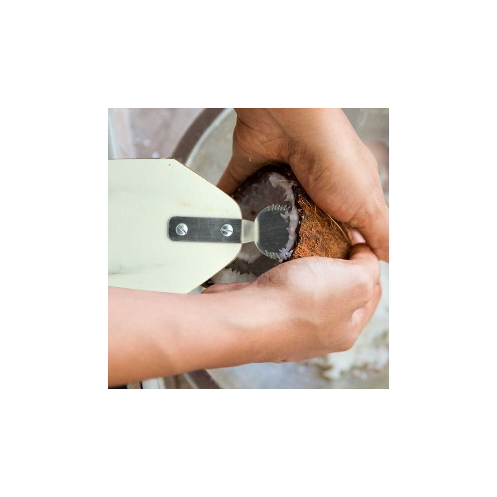 Raj Wooden Coconut Scraper Assorted Design | Traditional Handheld Scrapper Tool with High-Quality Craftsmanship