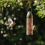 Peckish (Peanut Feeder) Peckish Everyday Wild Bird Feeder 2