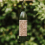 Peckish (Seed Feeder) Peckish Everyday Wild Bird Feeder 2