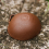 Peckish (Four Pack) Peckish Natural Balance Coco-Nots 100% Compostable & Biodegradable 5