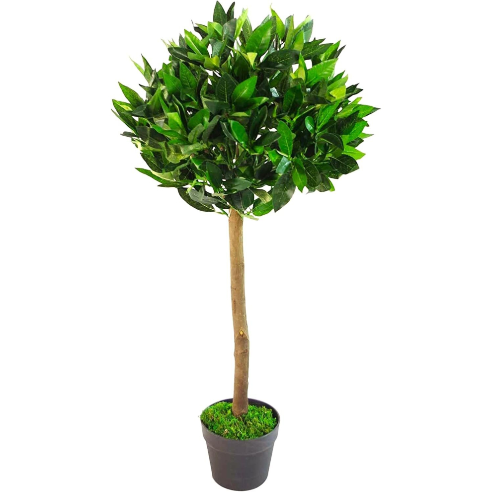 (Laurel Bay Leaf Tree Single	) Large Artificial 3ft Cone Bay Boxwood Spiral Trees