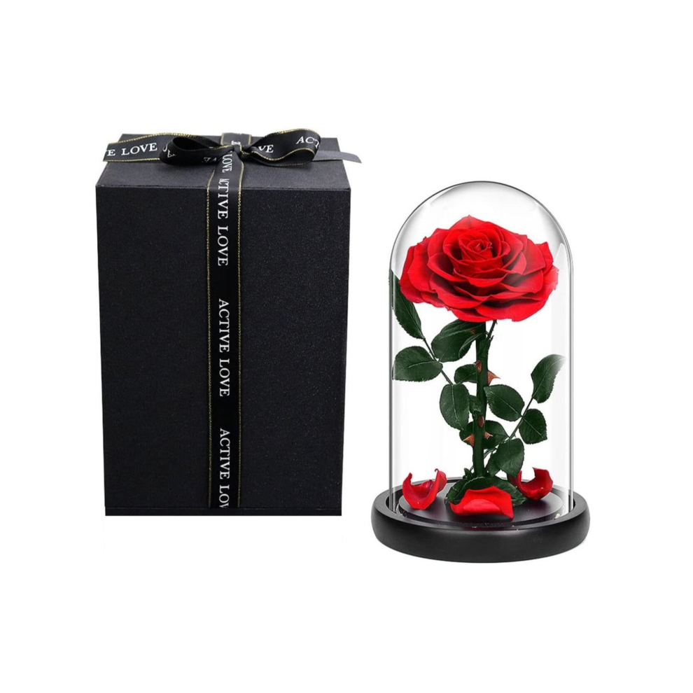 Preserved Rose Forever Never Withered Flowers,Valentine's Gift for Wedding Anniversary Birthday Mother's Day Gift Best Gift for Her Rose