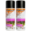 Pro-Kleen (Gloss, 2) Pro-Kleen Multi-surface Clear Lacquer Spray 1