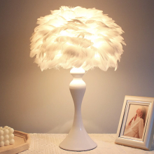 Accent Feather Table Lamp with LED Light