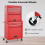 Casart Rolling Tool Chest Lockable Tool Cabinet Combo with Wheels & Drawers Adjustable 8