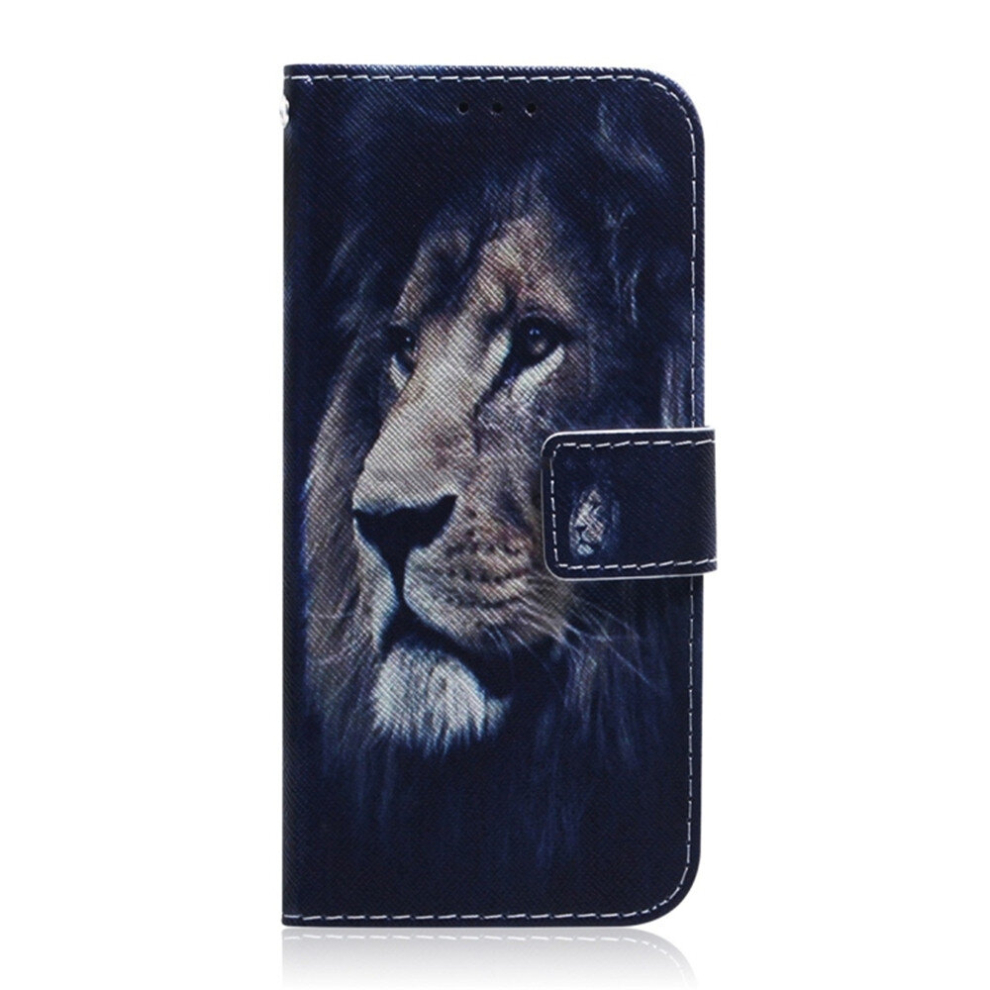 Lion Pattern Coloured Drawing Horizontal Flip Leather Case For Galaxy A40, With Holder & Card Slots & Wallet 8881471548725