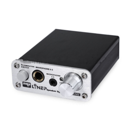 A907 Professional Two-channel Microphone Amplifier Dual Microphone Reverb