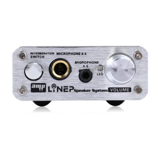 A907 Professional Two-channel Microphone Amplifier Dual Microphone Reverb 1