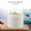 Yogurt Machine Household Automatic Glass Liner Multifunction Rice Wine Maker(Blue White) 7