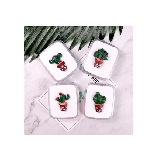 3Pcs Cute Fresh Three-Dimensional Cactus Contact Lens Case Random Pattern Delivery