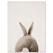 Rabbit Before and After the Computer Printing Decorative Painting Frameless Core