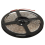 Waterproof Rope Light Length: 5M 2