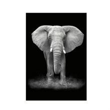 5 Pcs Simple Black and White Animal Decoration Painting Study Living Room Sofa Background Wall Painting Without Frame, Size:13X18cm(Elephant)